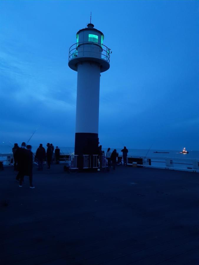 Nieuwpoort Marjolaine prachtig zeezicht - 4de verdiep -op de dijk 5pers Buitenkant foto