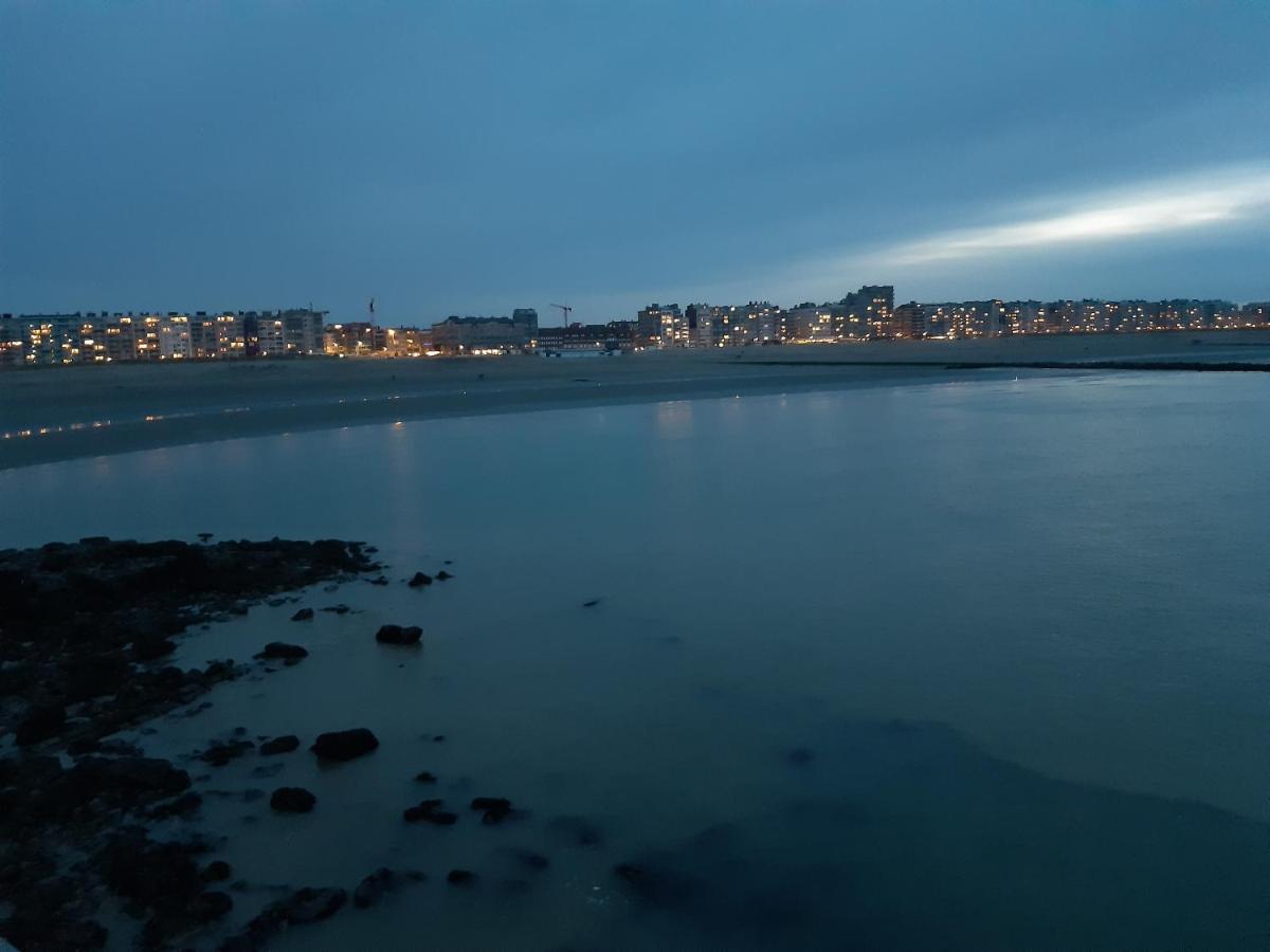 Nieuwpoort Marjolaine prachtig zeezicht - 4de verdiep -op de dijk 5pers Buitenkant foto